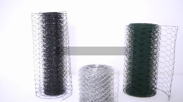hexagonal wire mesh 01