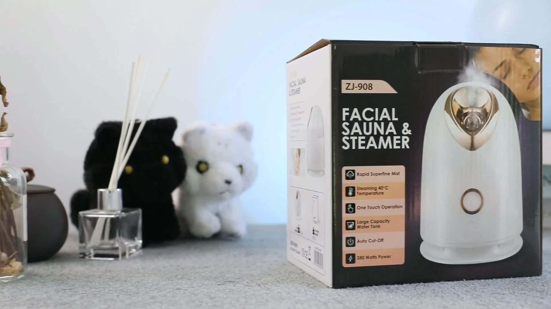 Face multifonction personnalisée portable en gros Face Nano ionique à vapeur facial à vapeur à vapeur Hot Mist Steamer1