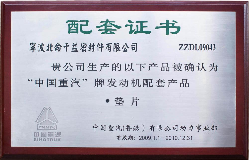 2009-2010 Year SINOTRUK OE Certificate