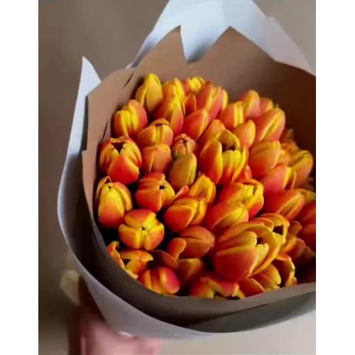 তাজা কাটা কমলা টিউলিপ