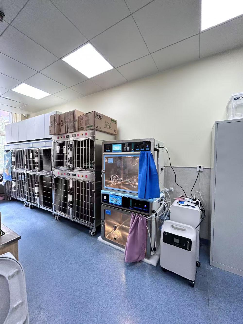Hospital Installations 2