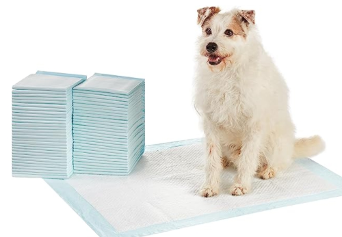 How to choose a Pet Training Pads