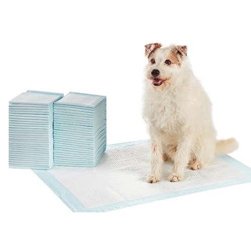 How to choose a Pet Training Pads