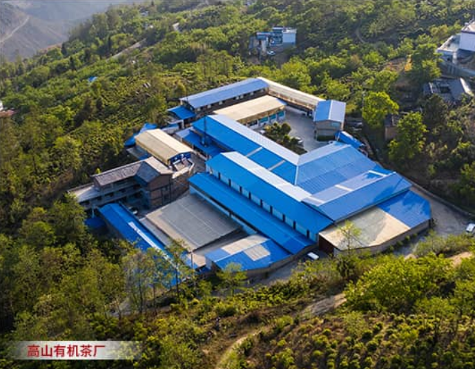 Fengqing Fengning Tea Industry Co., Ltd