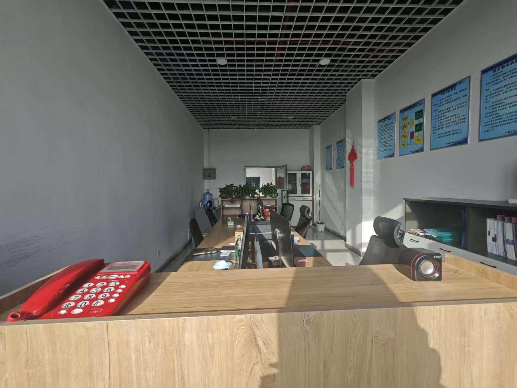 Xinjiang Jishi International Trade Co., Ltd