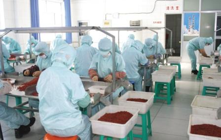 Ningxia Rich Resource International Co., Ltd