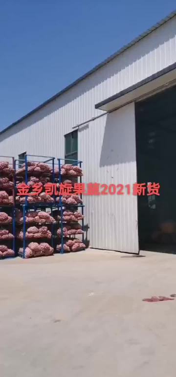2021年新蒜