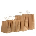 Brown Paper Lunch Bag Carrier for Takeout1