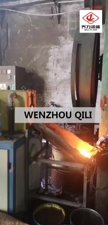 Qili hot foring workshop 2