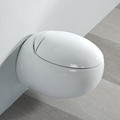 Egg Shape Wall Hung Toilet with Support1