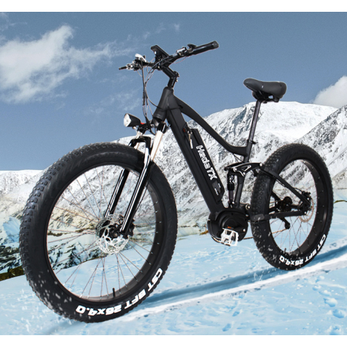 Exploring the Electric Fat Tire Bike Trend