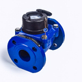 Horizontal Dry and Detachable Water Meter with Pulse Output (DN 50 - DN 300)1