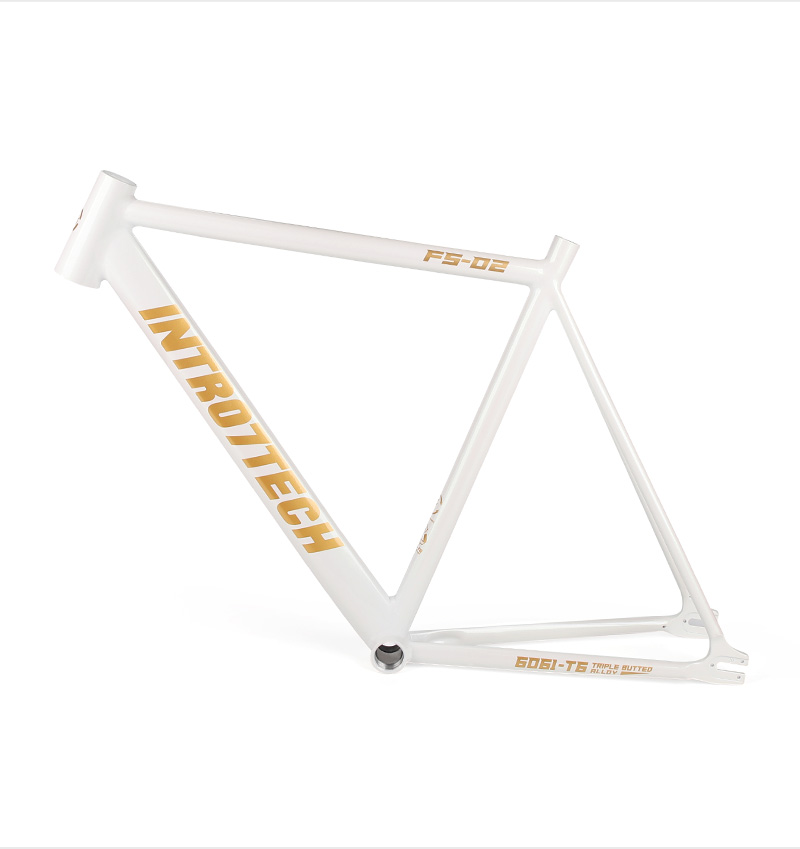 Fixed Bike Frame