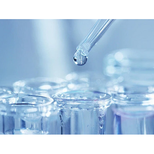 イノベーションとグリーントランジションが世界の化学繊維織物産業の成長を促進