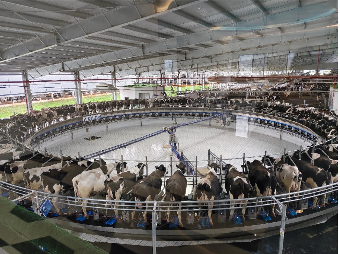 Europe-Asia Dairy Co., Ltd.
