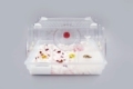 Panoramic Villa Full Version 728-B: Pink Hamster Cage and Pet Travel Carrier1