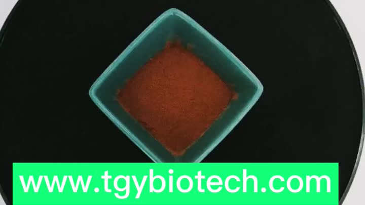 cordyceps militaris extract