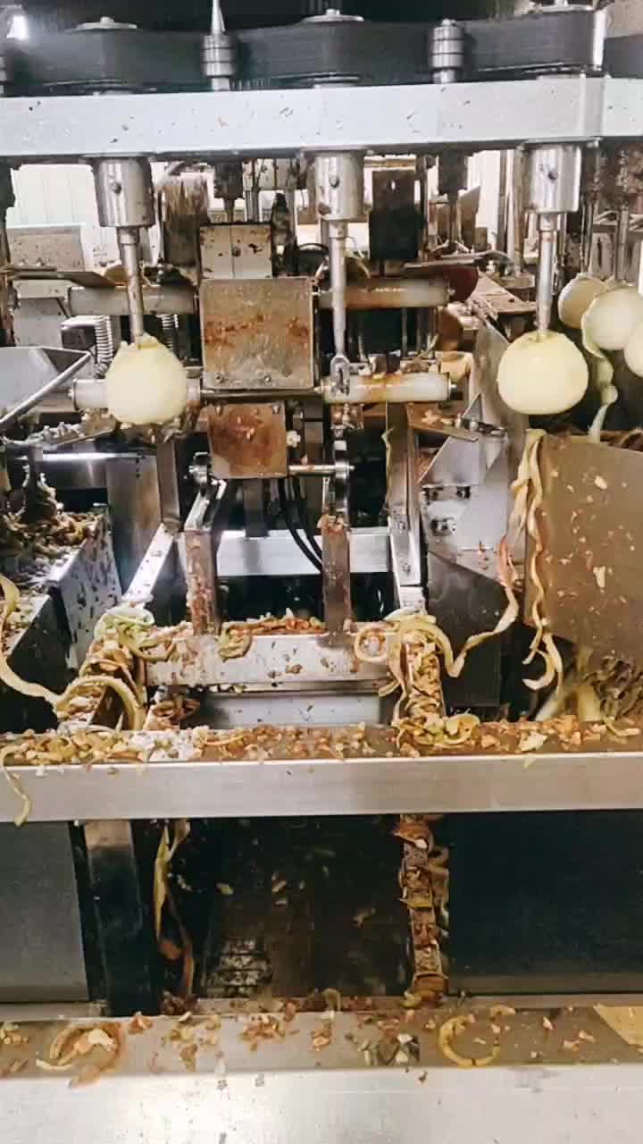 dried apple automatic machine peeling process