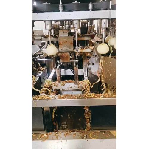 dried apple automatic machine peeling process