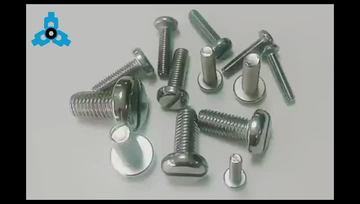 PAN SLOTTED SCREWS.mp4