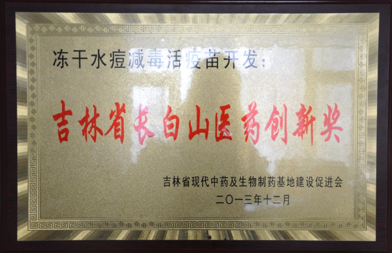 Changchun Changbaishan Medical Innovative Award in 2013
