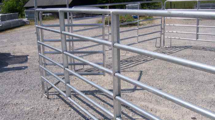 2021 Ketibaan Baru Galvanized Steel Horse Round Pen Arena Corral Fence Panel1