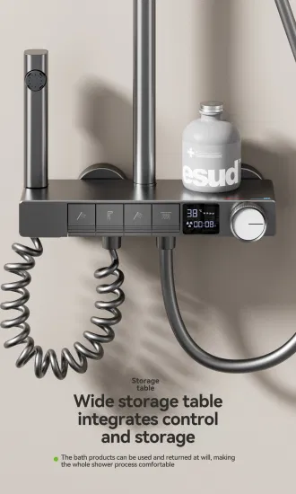 4058 Wholesale Gun Grey Digital Temperature Control Shower Set1