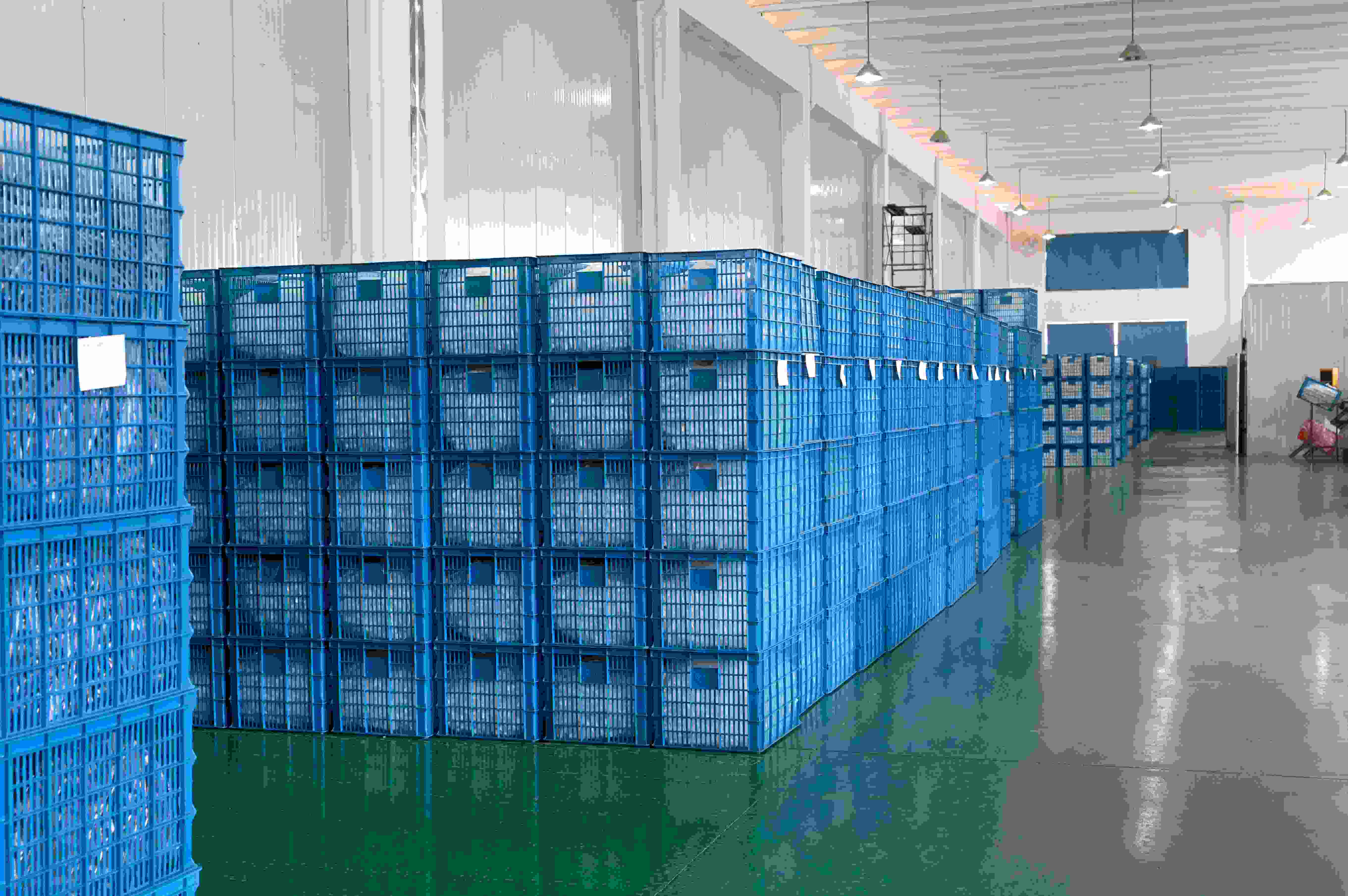 Suzhou Alpha Packaging Co., Ltd.