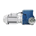 MAXPOWER Speed Reducer Gear Motor for Livestock Curtain Roll Up System1