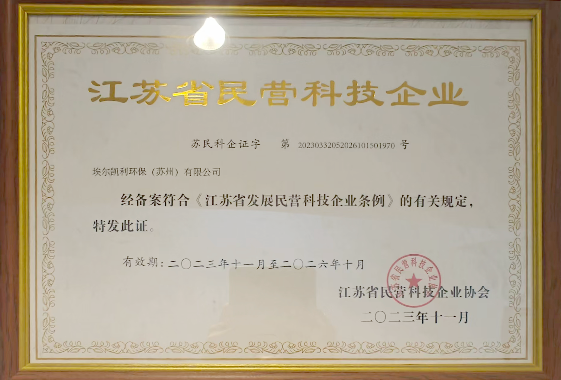 Private technology enterprises in Jiangsu Province