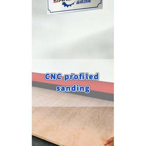 SDS13-Sanding of Furniture Veneer Doors