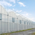 MYXL Low Cost Intelligent Commercial Greenhouse: Plastic and Metal Frame Solution1