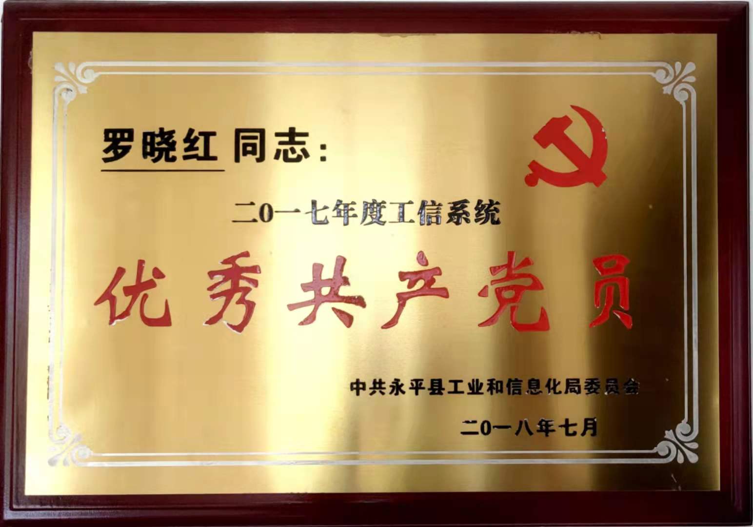 Outstanding Communist Party Member