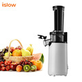 Zhongshan SJ 006 Mini Slow Masticating Cold Press Juicer1