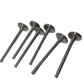 Intake and Exhaust Valves for 6DF1 Engine1