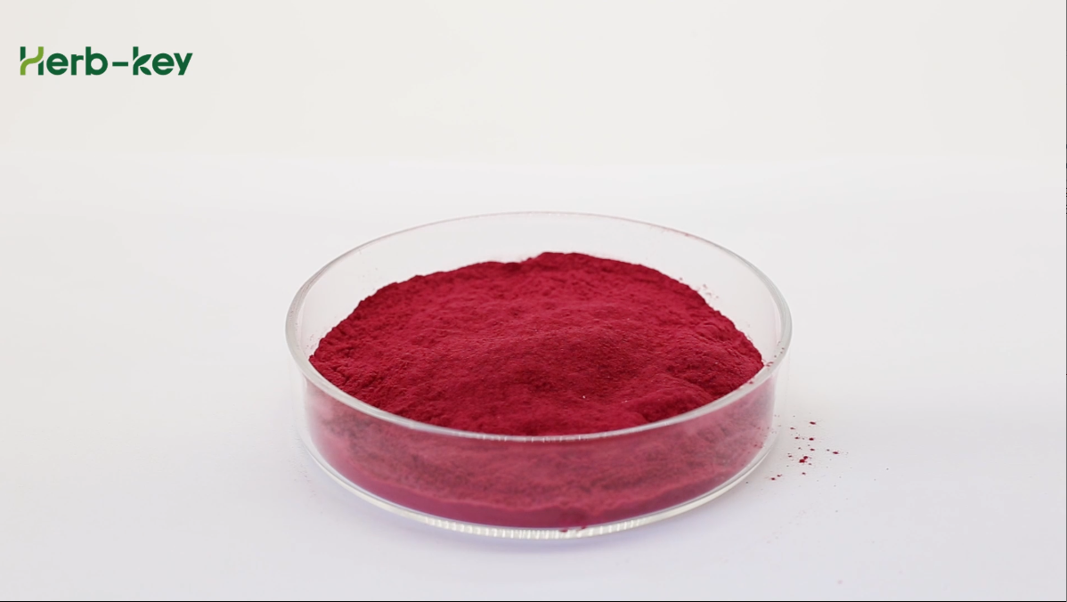 Beet Root Powder