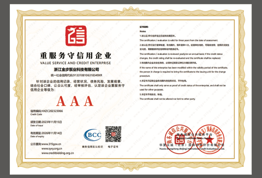 VALUE SERVICE AND CREDIT ENTERPRISE