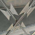 Factory Good Price Galvanized Barb Wire Fence Concertina Razor Barbed Wire Mesh Fence1
