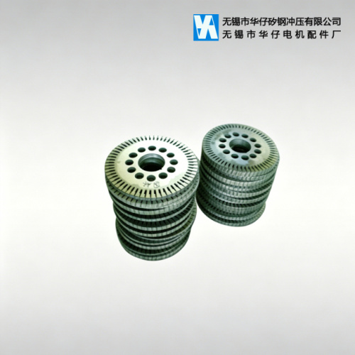 شركة Wuxi Huazi Silicon Steel Stamping Co., Ltd. تطلق محركًا دوارًا عالي الأداء للمحركات الصناعية ومحركات السيارات التي تعمل بالطاقة الجديدة