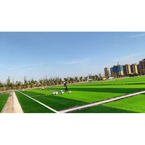 العشب الصناعي لملاعب كرة القدم (1)