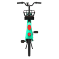 X26 Adult motor 2 wheel fat tire ebikes