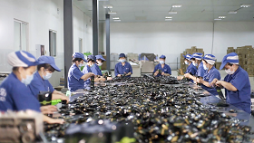 Huantai Granulation Machine Roasted Tech