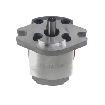 List of Top 10 Mini Gear Pump Brands Popular in European and American Countries