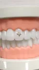 18K Tand Gem Lood Gratis Tooth Gems Dental