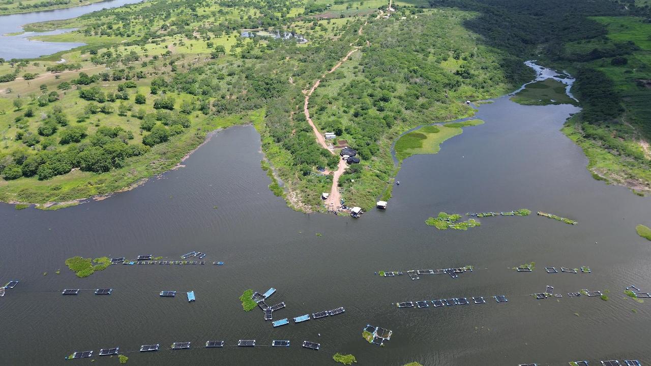 Aquaculture and water environment