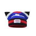Wholesale Autumn Winter Cute Cat Ear Wool Hat1