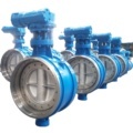 Two-Way Zero Leakage Metal Seat Butterfly Valves: Size 600 (DN600)1