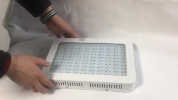 1000W仿流明视频