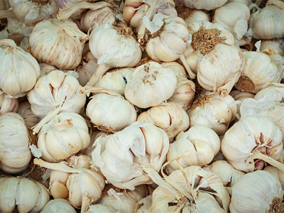 تعمل شركة Bumper Global Harvest على إعادة هيكلة السوق وترقية المنتجات المتميزة في صناعة الثوم
