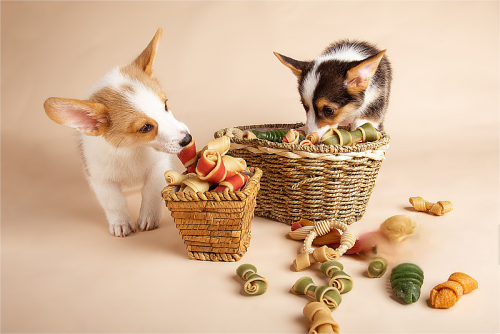 Trate seu amigo peludo: o melhor guia para lanches de estimação